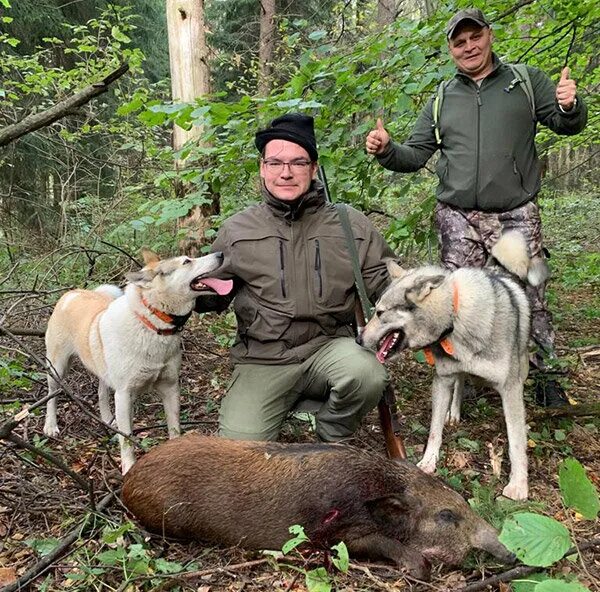 Пушкинское районное общество охотников и рыболовов. Московский охотников и рыболовов. Московский охотников и рыболовов. Общество охотников и рыболовов вологда. Эмблема охотник и рыболов.