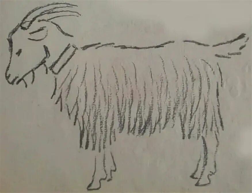 Рисование козлика в средней группе. Рисование в средней группе коза. Рисование козленка в средней группе. Рисование в средней группе козленочек.