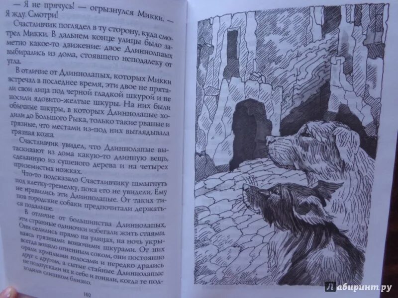 Стая эрина хантера. Хроники стаи Эрин Хантер книга. Эрин Хантер хроники стаи иллюстрации. Хронология хроники стаи Эрин Хантер. Последняя битва Эрин Хантер.