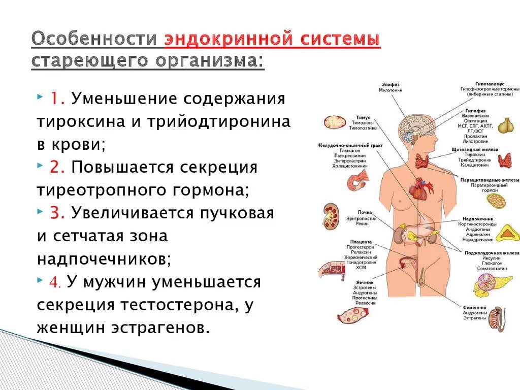 Эндокринные нарушения организма