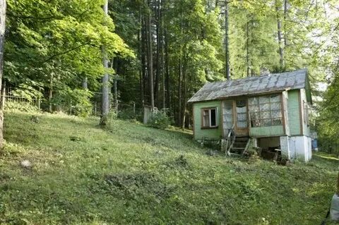 Just wood поселок лесничество осетровское