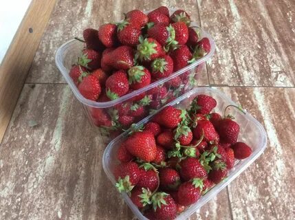 Продам ремонтантную клубнику хабаровск