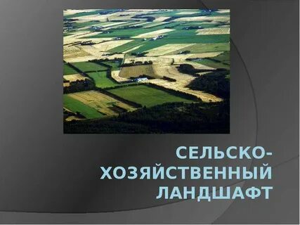 Описание ландшафта местности