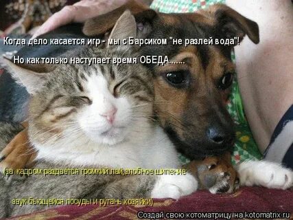 Не разлей вода