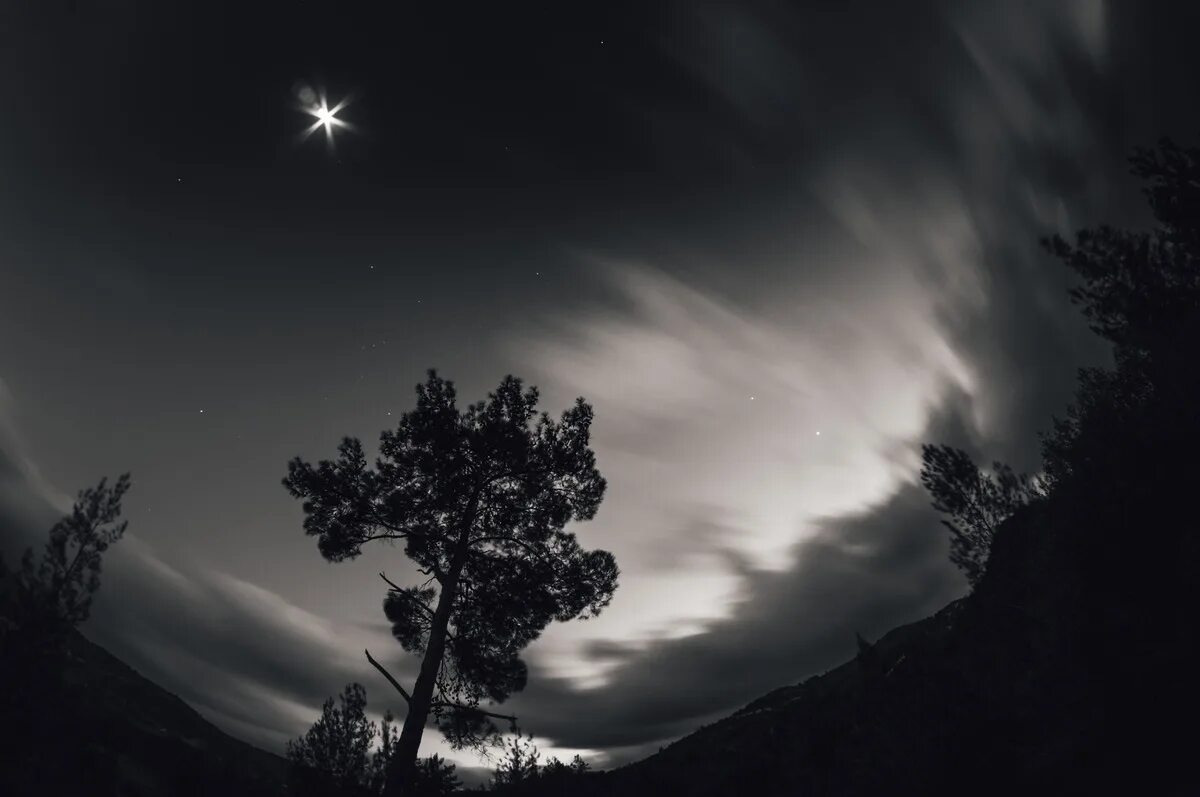 Windy Night. Звезды ветер ночь