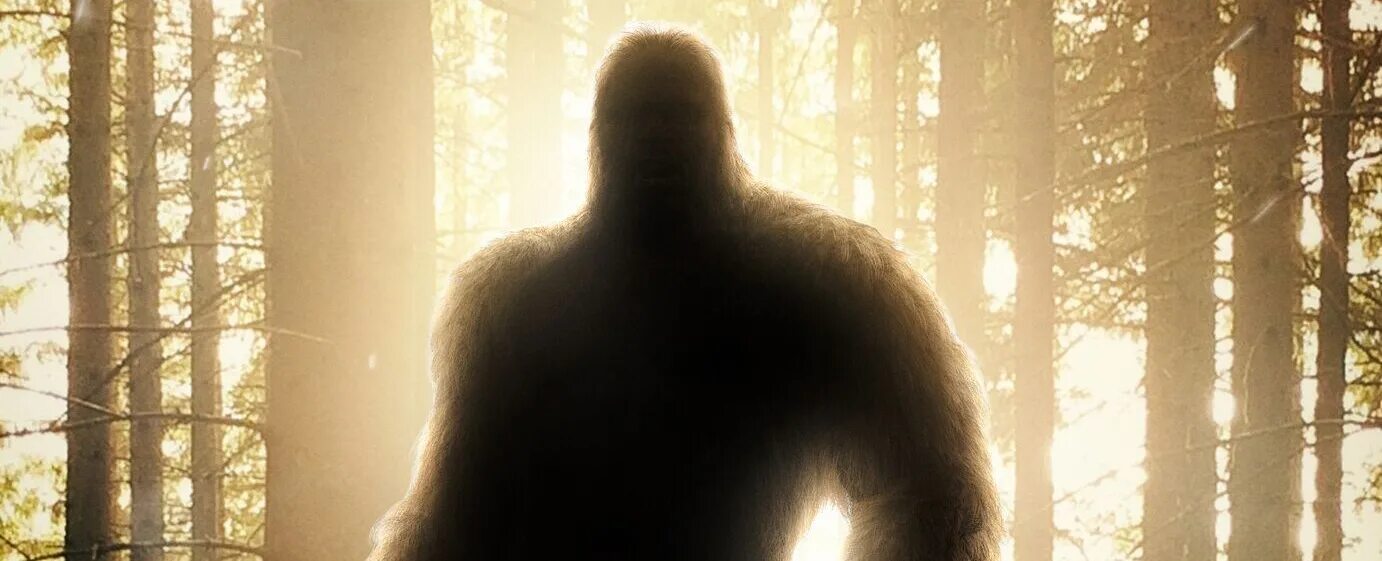 Один в лесу 2025. Bigfoot. снежный человек. бигфут в лесу.
