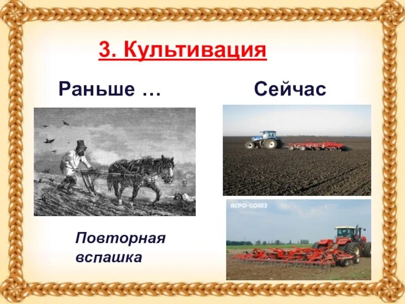 Презентация откуда хлеб. Откуда к нам хлеб пришел для дошкольников. Этапы выращивания хлеба. Картинки как выращивают хлеб. Выращивание хлеба картинки.