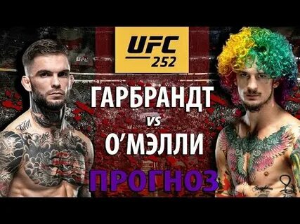 Без бою разбор