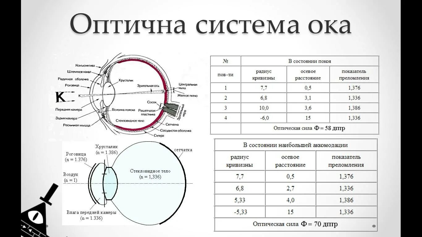 Базовая кривизна контактных линз. Радиус кривизны и диаметр контактных линз. Линзы радиус кривизны линзы 8.6. Диаметр и Базовая кривизна контактных линз. Почему менялись радиус