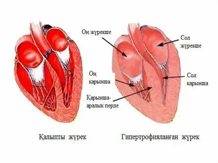 Марина порно қызылбас