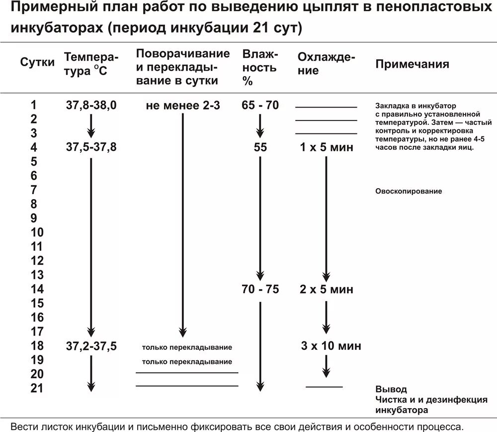 Инкубатор несушка влажность температура. Таблица выведения цыплят в инкубаторе Золушка. Таблица инкубирования яиц в инкубаторе Золушка. Таблица инкубации куриных яиц в инкубаторе Золушка на 70. Таблица инкубации куриных яиц в инкубаторе Несушка на104.