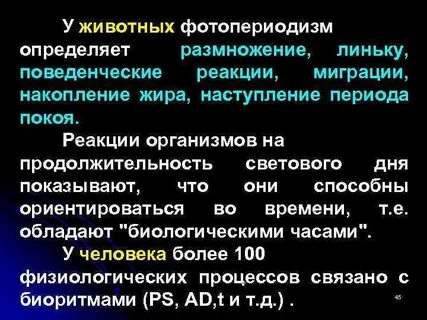 Фотопериодизм это в биологии