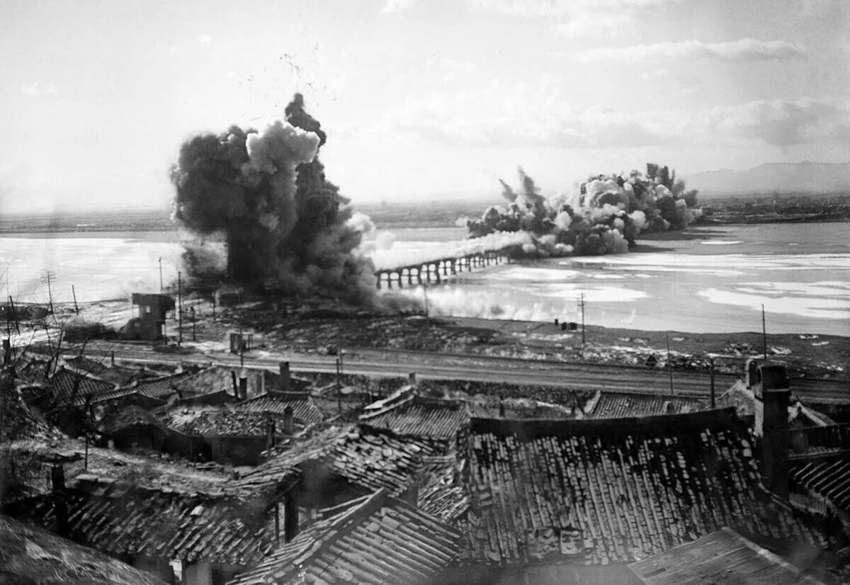 Птицекалипсис 2010. Неуловимые фильм 2012 корейцы. Птицекалипсис 2010. Птицекалипсис шок и трепет фильм. Корея нападает на сша.