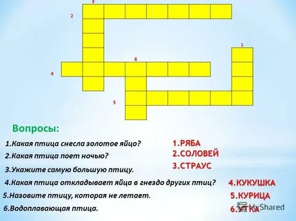 43 вопросы