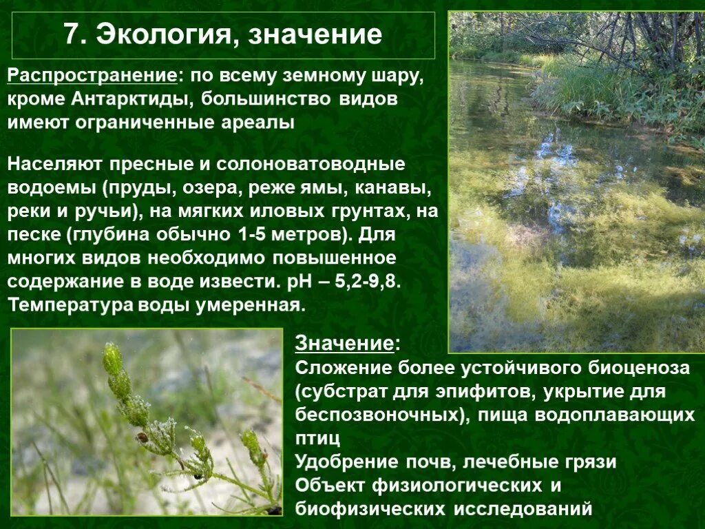 Распространяется значение