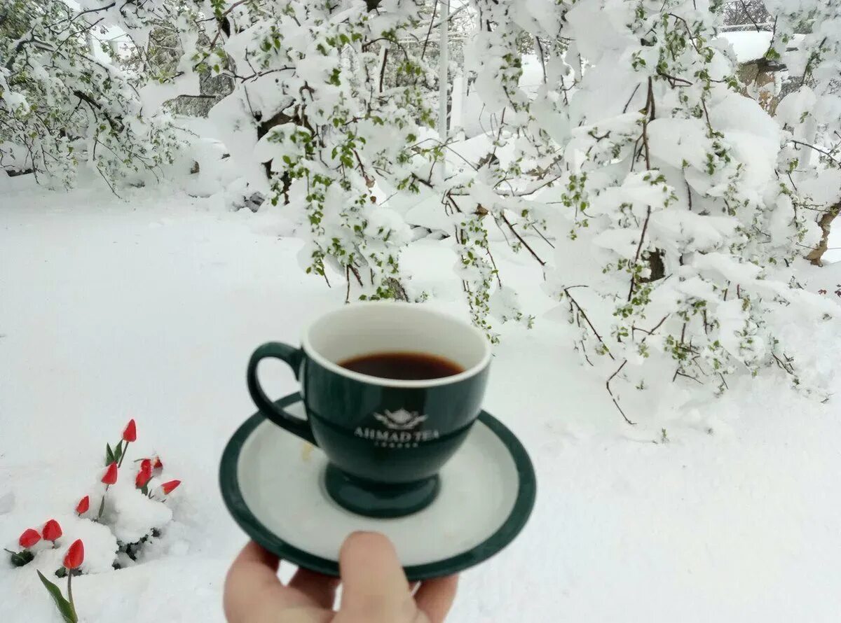 С добрым утром картинки красивые зимние необычные. Доброе утро зима. С добрым зимним утром. Открытки с добрым морозным утром. Доброе Снежное утро.