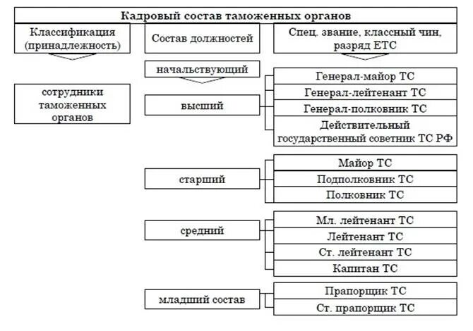 Какие категории лиц. Кадровый состав таможенных органов России. Категории лиц кадрового состава таможенных органах. Состав и структура кадров таможенных органов Российской Федерации.. Иерархия должностей в таможенной службе РФ.