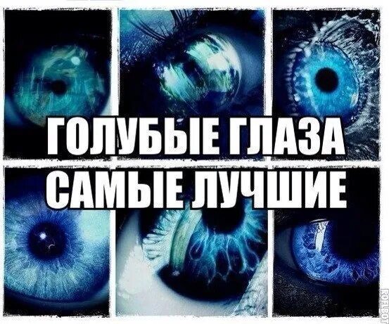 Я поверил голубым глазам