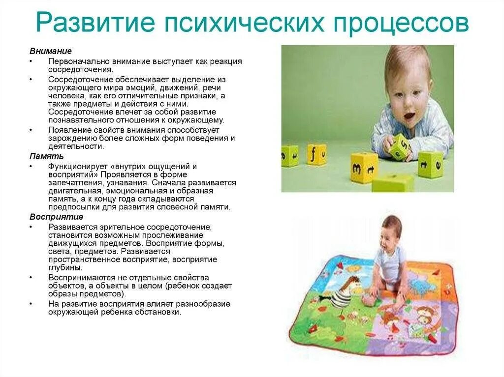 Процесс психического развития ребенка зависит от. Развитие психических процессов. развитие познавательных психических процессов. психические процессы младенчества. особенности развития психических процессов.