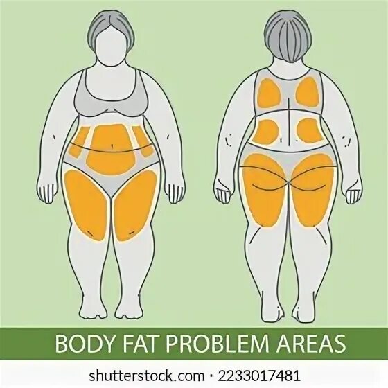 Problem areas. Эндоморф. Эндоморф женщина. Эндоморф мужчина и женщина. Types of Weight.