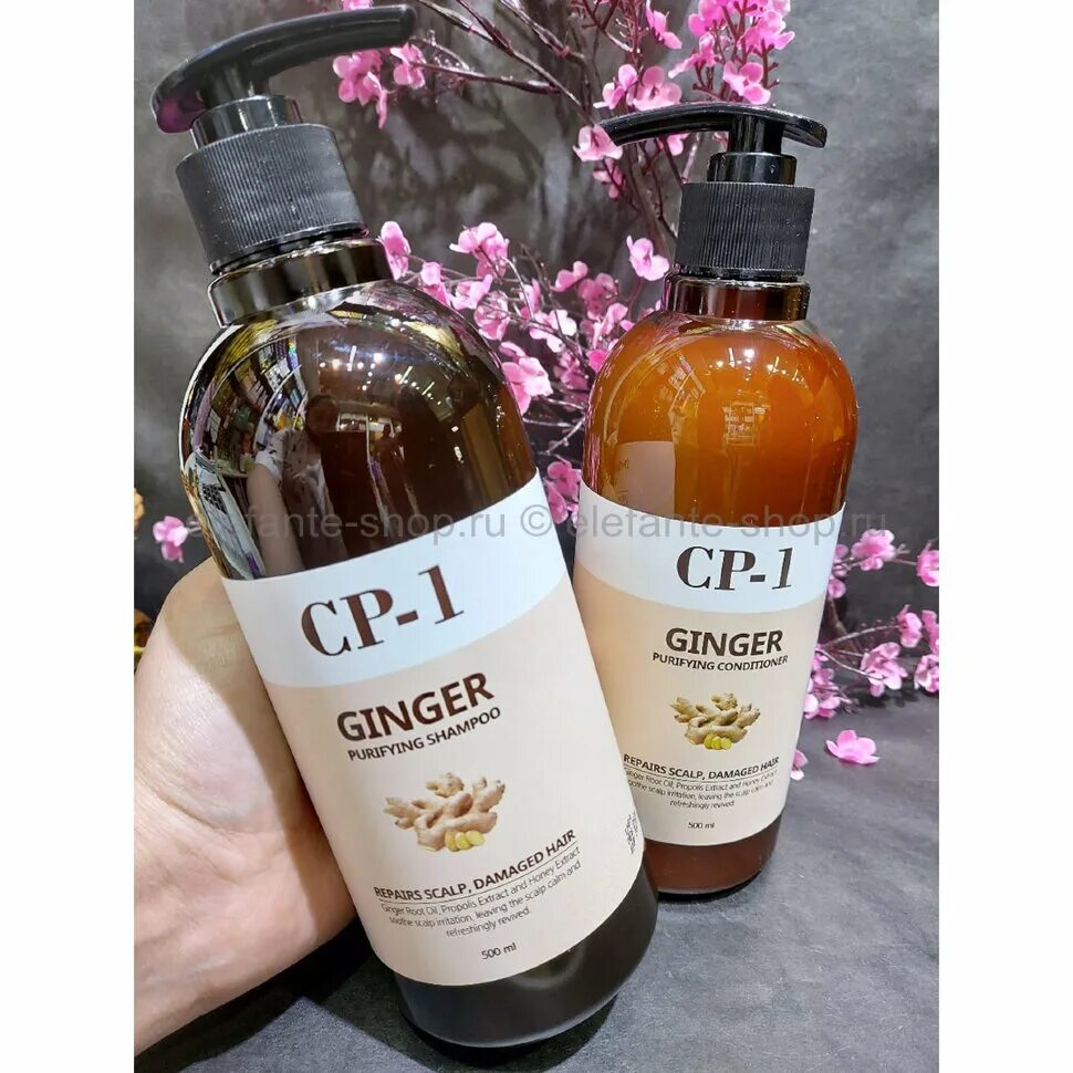 Ginger шампунь с имбирем. Ginger purifying. Ginger shampoo имбирный. Артел кондиционер 100 глотр. [esthetic house] шампунь имбирный ср-1 ginger purifying shampoo, 500 мл.