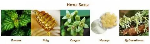 Пачули мускус дубовый мох