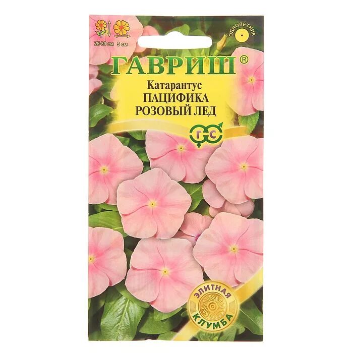 г22. катарантус семена фото. катарантус ампельный атлант (цв) ("1) 10 шт. катарантус виктори парпл. семена однолетних цветов фото самих семечек.