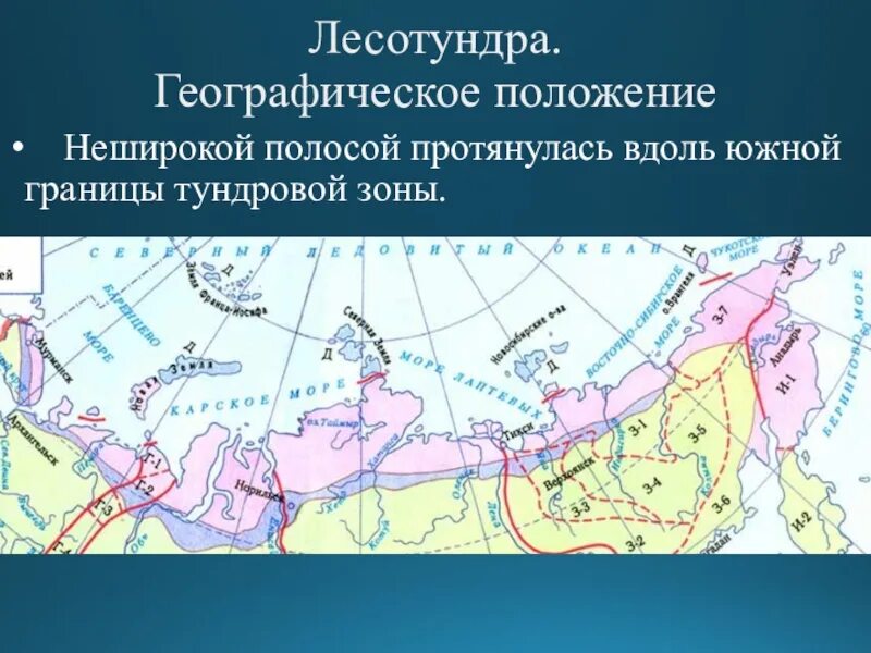 Положение зоны тундры. Географическое положение зоны тундры в России. Лесотундра географическое положение границы в России. Местоположение природной зоны тундры.