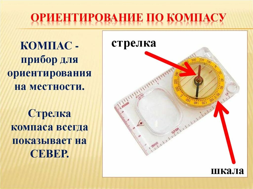 Почему корпус компаса делают. Ориентирование на местности по компасу. Как ориентироваться по компасу. Приборы для ориентирования на местности. Ориентирование по местности по компасу.