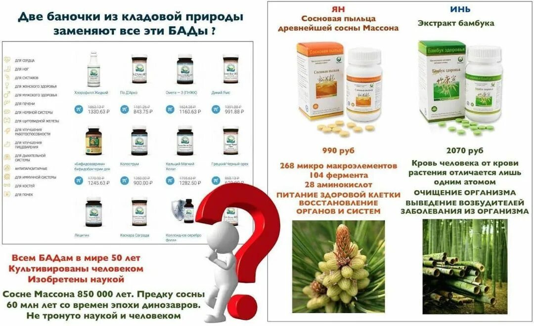 Продукты новая эра. Бамбук новая эра. Новая эра картинки. Новая эрасэт. Новая эра бренд.