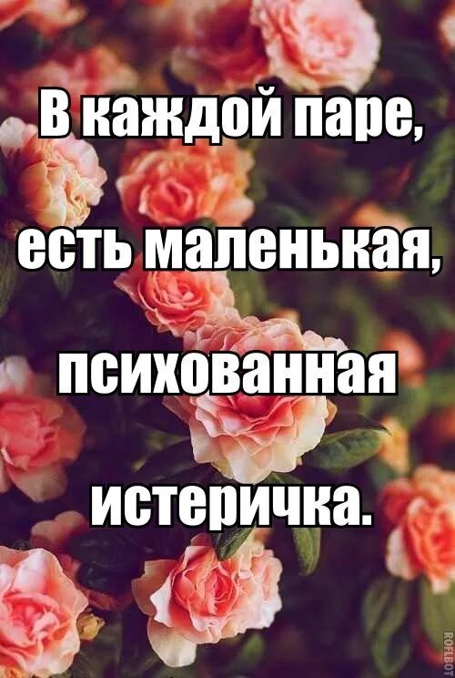Пошёл ты нафиг. Психованная истеричка. Моя любимая истеричка. Асти истеричка. Истеричка картинки.