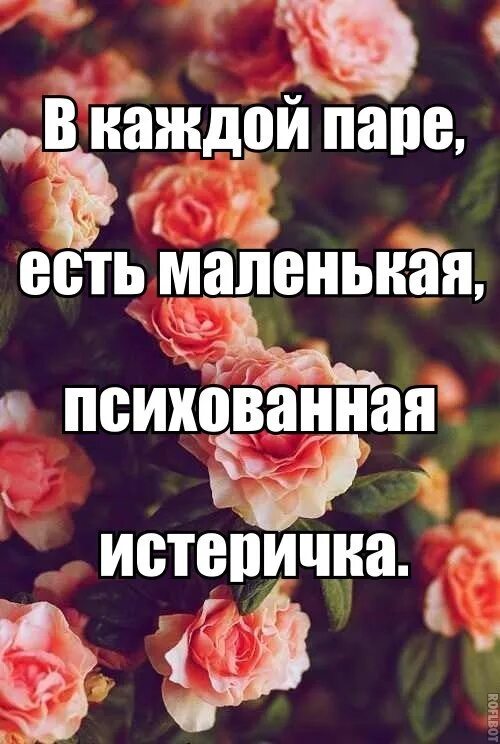 Бывать невыносимый. Моя любимая истеричка. Ты моя любимая истеричка. Истеричка картинки. Ты моя маленькая истеричка.