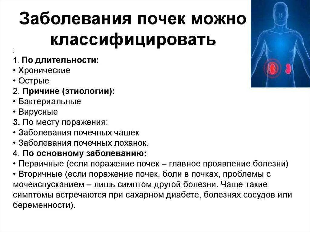 Что может привести к инфекционному заболеванию почек. Причины воспалительных заболеваний почек. Основные симптомы заболевания почек. Симптомы поражения почек.