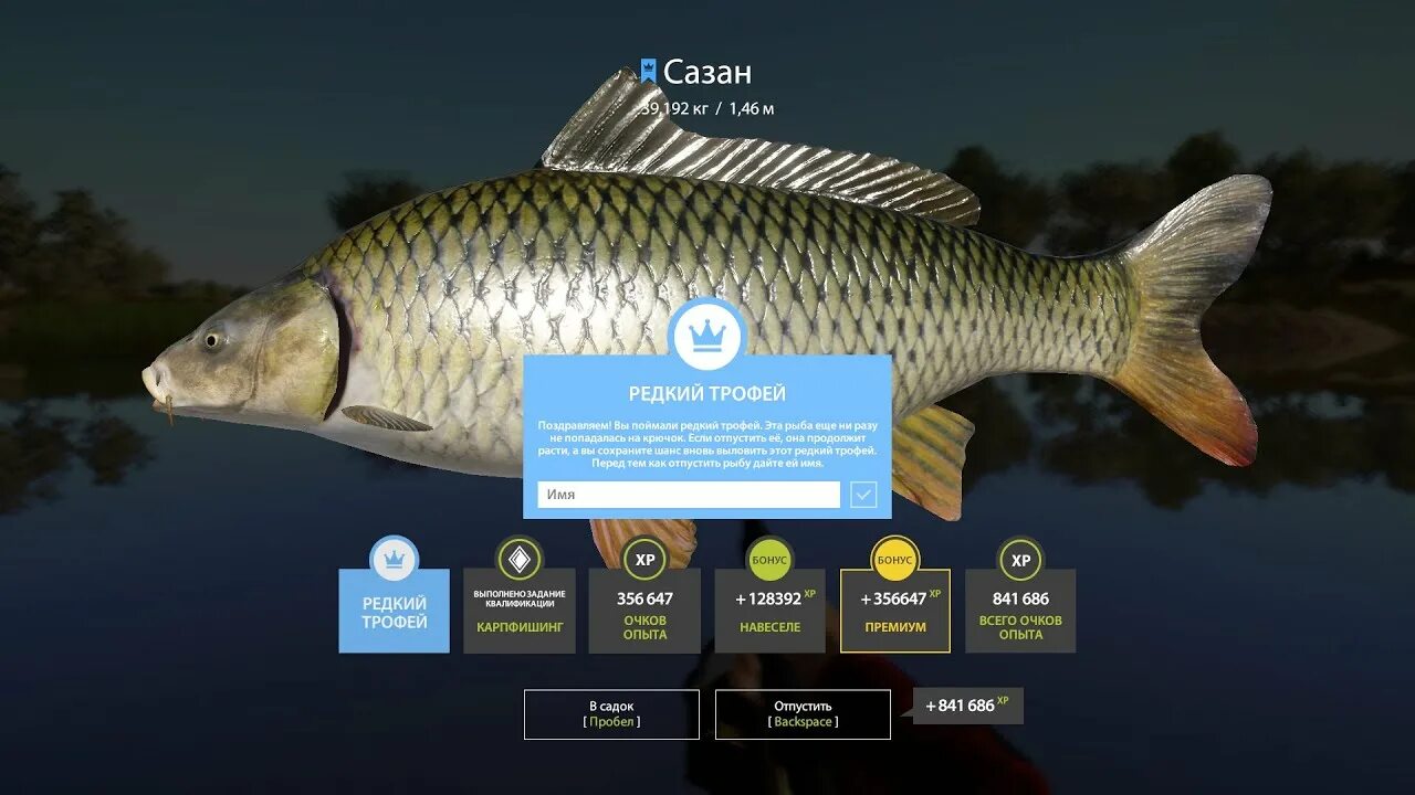 Троф рр4. Налим рр4. Чир рр4 тунгуска. Линь рр4. Сазан троф рр4.