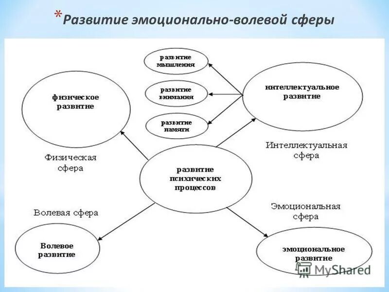 Эмоционально познавательная сфера