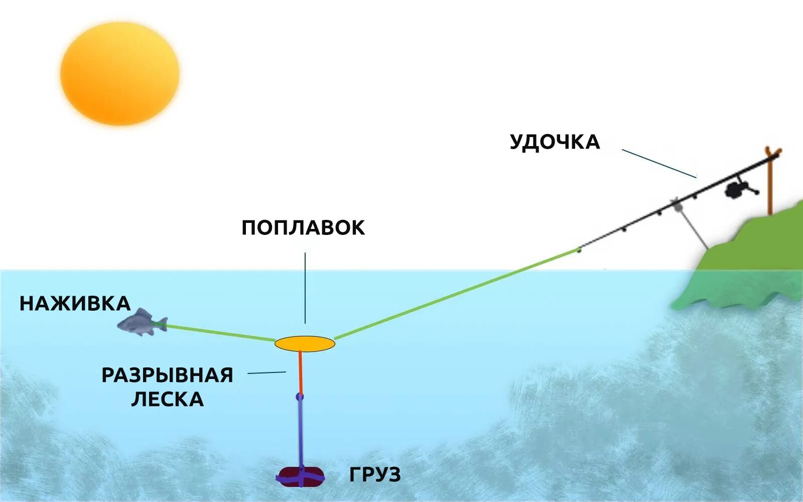 Ловля поплавком с берега. Донная поплавочная оснастка. Донная снасть на сома схема. Оснастка донки с поплавком. Оснастка для ловли сома на донку с берега.