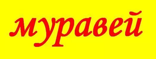 Английская карточка со словом ant. Муравей рисунок. Карточка для английского языка муравья. Карточки по английскому языку мурав. Ant в английском языке.