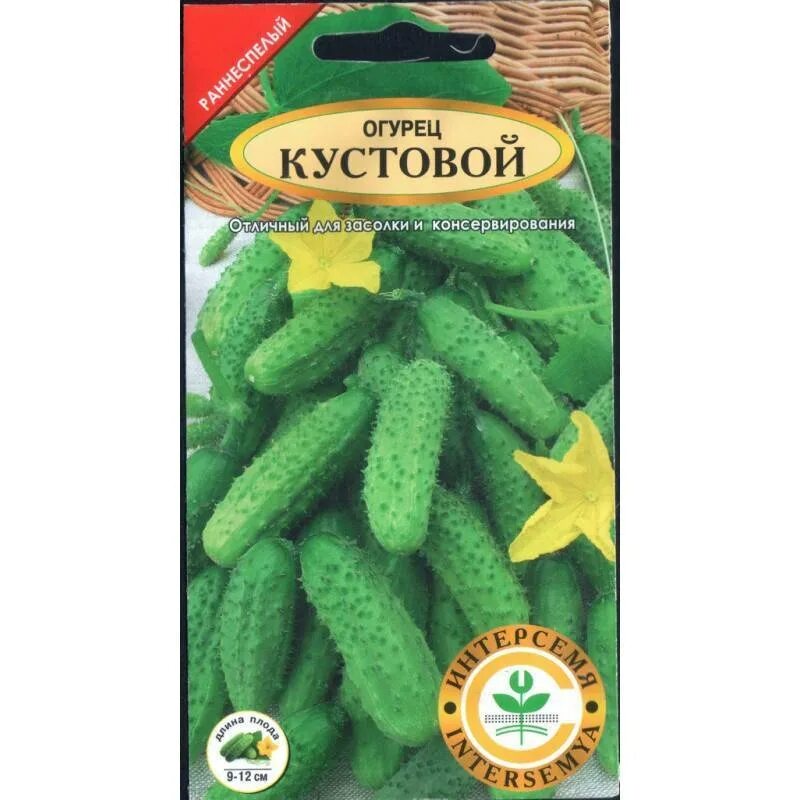 Кустовой огурец для открытого сорта. Огурец кустовой 10шт садовита. семена огурец кустовой для открытого грунта. кустовые сорта огурцов. кустарниковые огурцы.