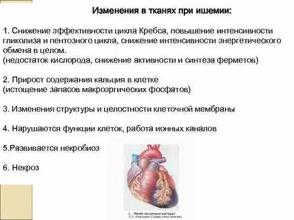 Изменения в тканях