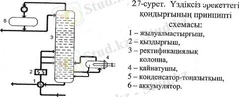 Мастурбация және тұмсық