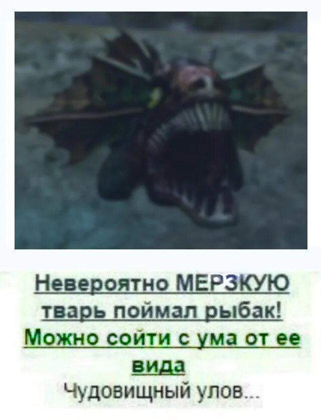 Конечно тварь. Невероятно страшную тварь поймал рыбак. невероятно мерзкую тварь. страшное чудовище выловили рыбаки. невероятно мерзкую тварь поймал.