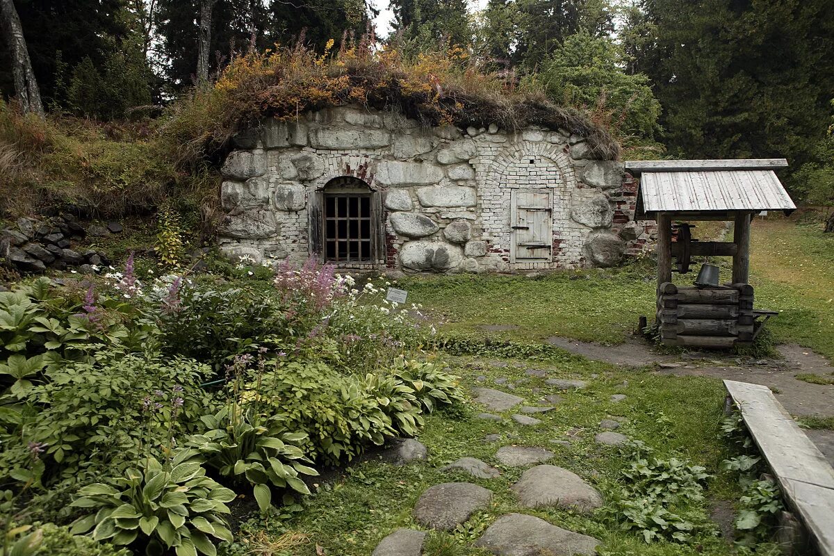 ботанический сад соловецкого музея-заповедника. ботанический сад соловки. что выращивали в ботаническом саду соловецкого монастыря. соловецкий монастырь ботанический сад. соловецкие острова ботанический сад.