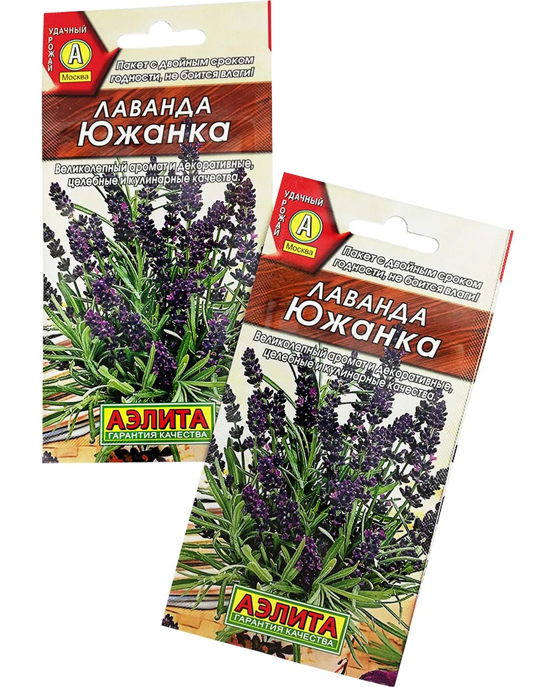 Лаванда сорт южанка. Лаванда узколистная южанка. семена лаванда южанка. лаванде южанка рассада.