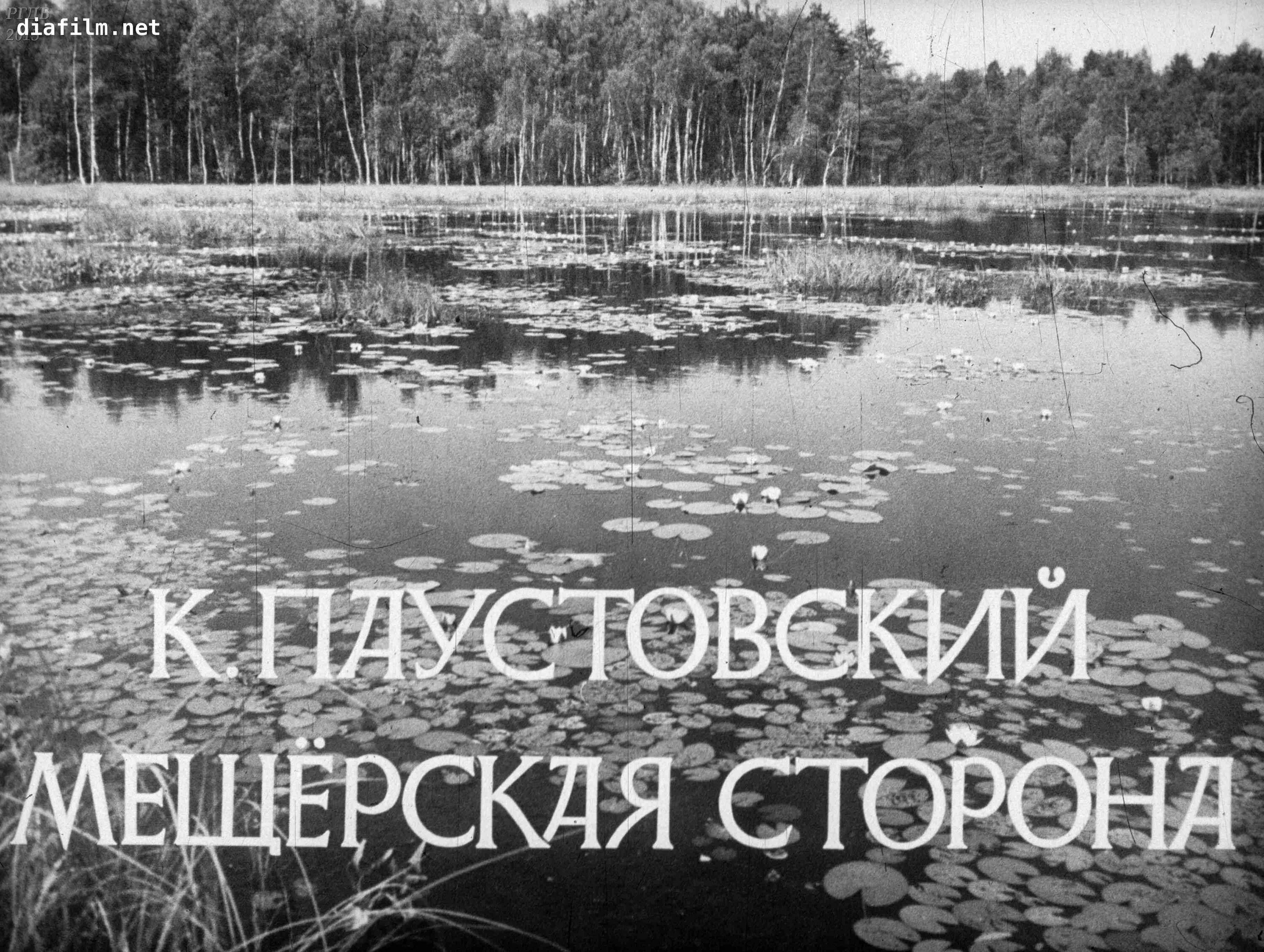 Читать паустовский мещерская. Мещерский край Паустовский. Мещера Константина Паустовского. Книга Паустовского Мещерская сторона. Мещёра Паустовский.