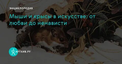 Мышь и крыса слушать