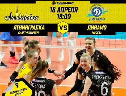 Динамо ленинградка волейбол прогноз