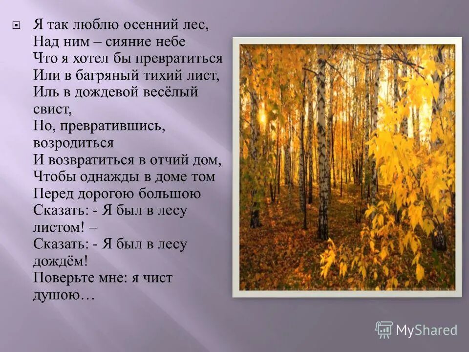 Текст весной в лесу. Войдешь в лес текст. Лес осенью текст. Текст проталинки. Стихотворение про лес.