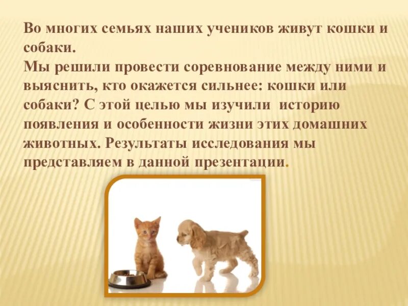 Чем отличается кошачий корм от собачьего. Проект про кошек и собак. задачи на проект про кошек и собак. чем отличаются кошки и собаки. почему я выбрала тему проекта про кошек.