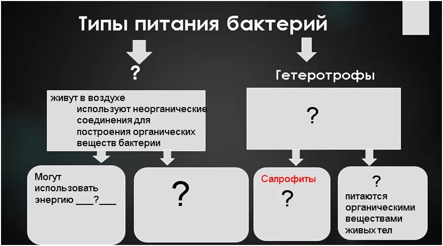 Организм-живое существо. Бактерии и вирусы.