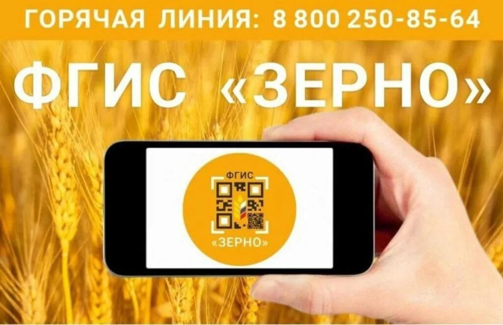 Как добавить зерно в фгис зерно. Фгис зерно. фгис зерно обучение. фгис зерно лого. прослеживаемость зерна.